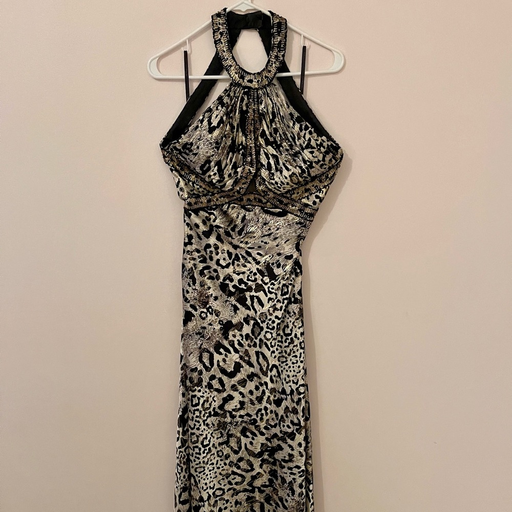 Fancy cheetah print dress